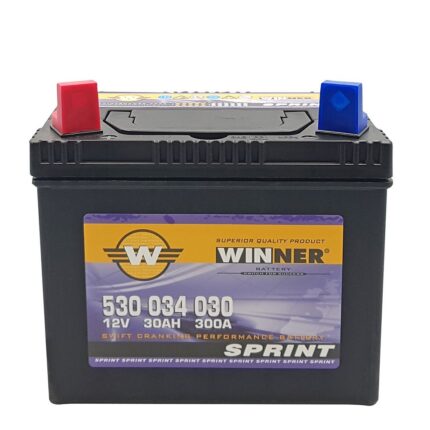 Winner Battery
